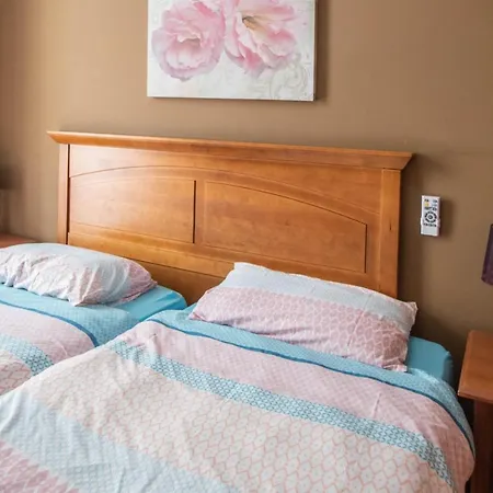 Del Arqueólogo De Apartamento Cádis