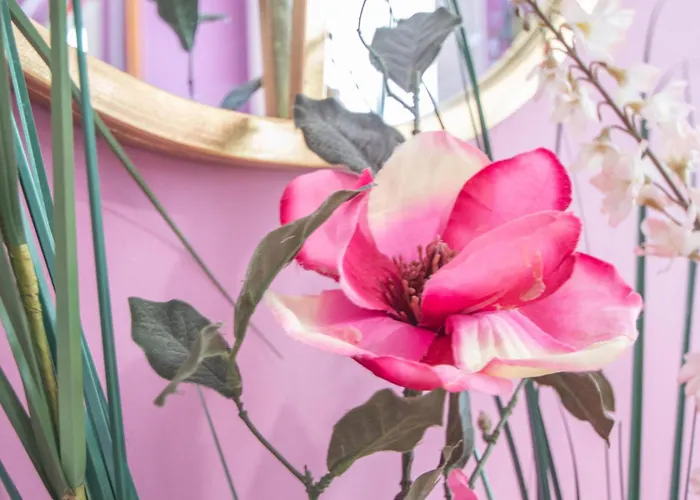 Del Arqueólogo De Apartamento Cádis