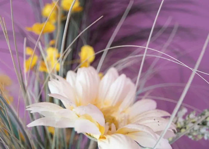 Apartamento Del Arqueólogo De Cádis