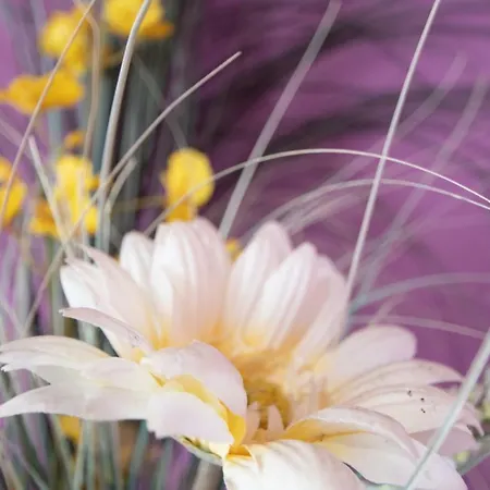 Apartman Del Arqueologo De Cádiz